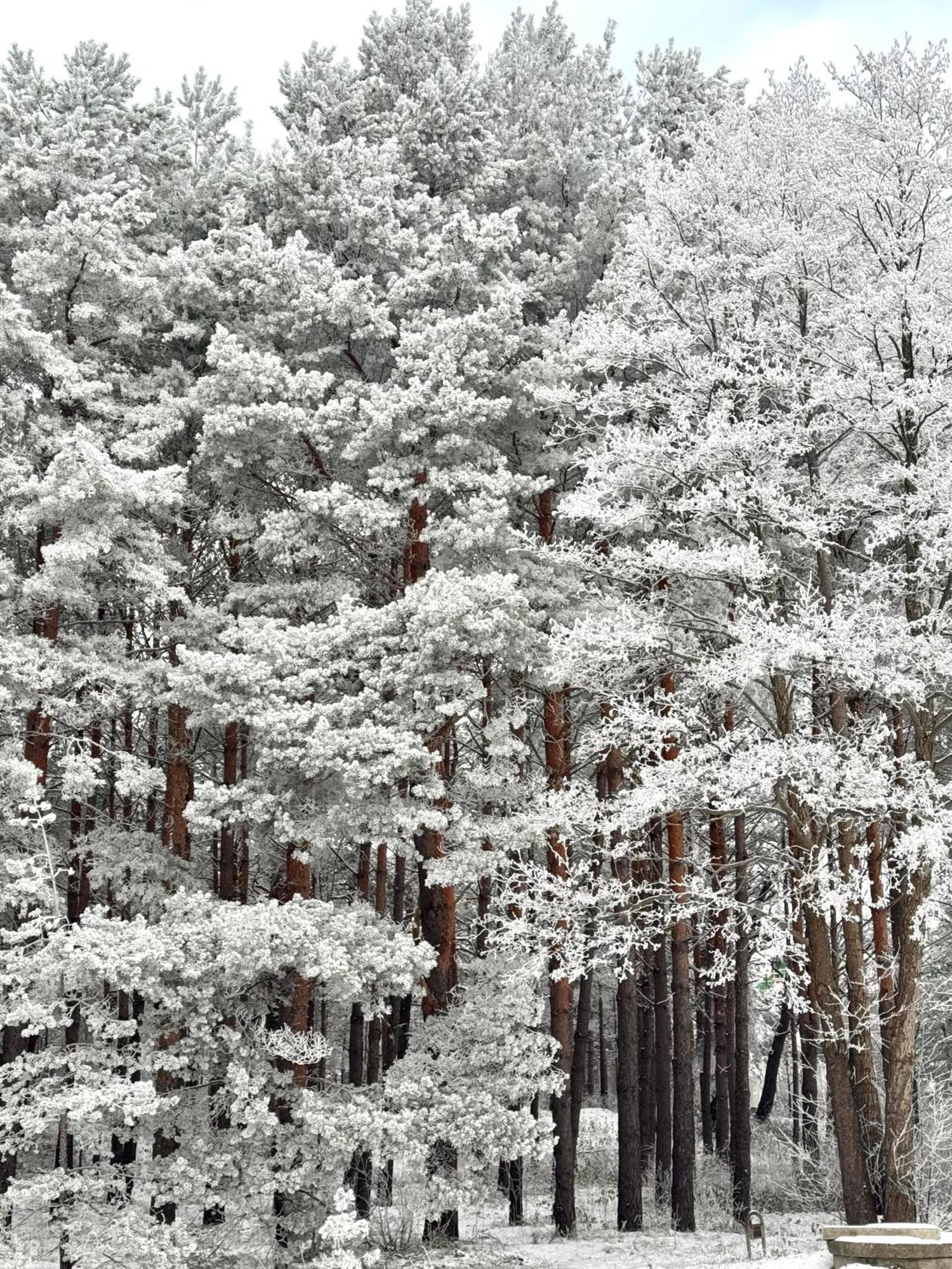 Hill Palanga & Spa エクステリア 写真