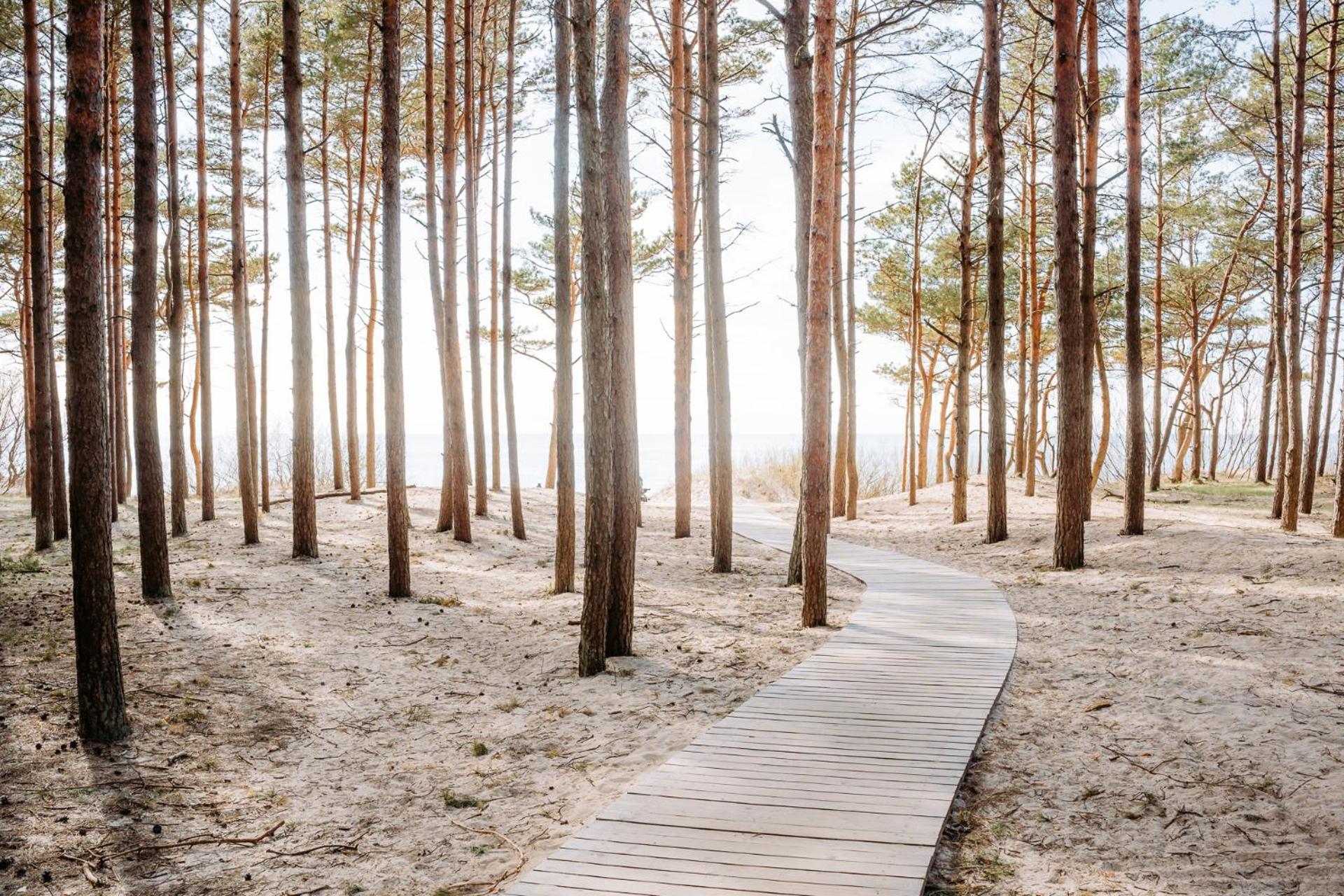 Hill Palanga & Spa エクステリア 写真